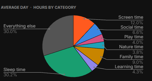 A pie chart of the average day split by time type